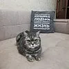 Диван BOSS.XO Monolit отзыв клиента
