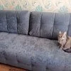BOSS 2.0 Mini Велюр Royal отзыв клиента
