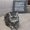 Диван BOSS.XO Monolit отзыв клиента