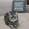 Диван BOSS.XO Monolit отзыв клиента