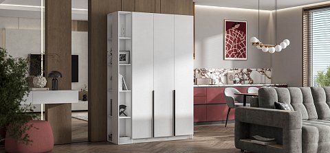 Босс Стандарт 120*220 шкаф распашной 3Д + ящики 01 Белый 2