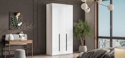 Босс Стандарт 120*236 шкаф распашной 3Д+ящики Белый 2