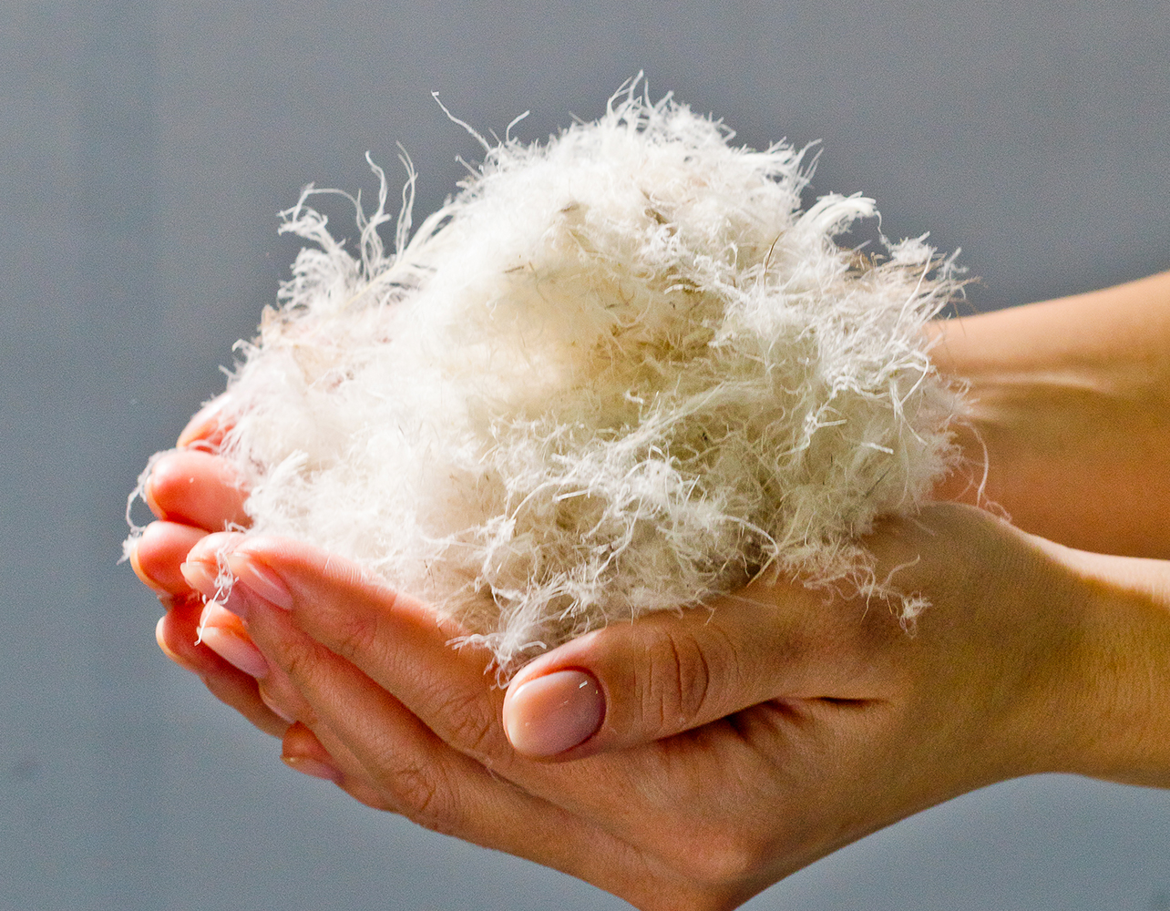 Новинка! Коллекция набивных подушек